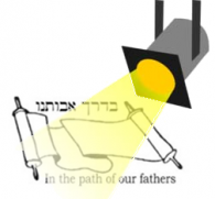 Spotlight: November 2012